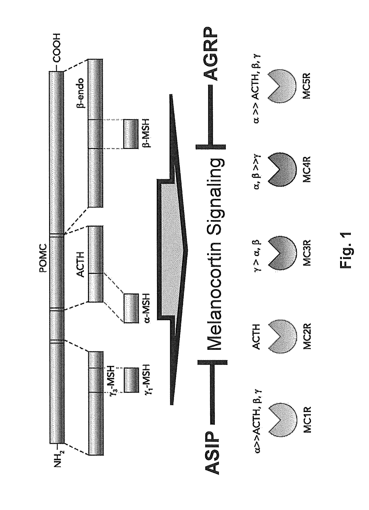 Biomarkers for breast cancer and methods of use thereof