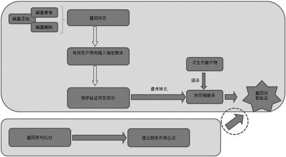 Screening method for active substances of plants