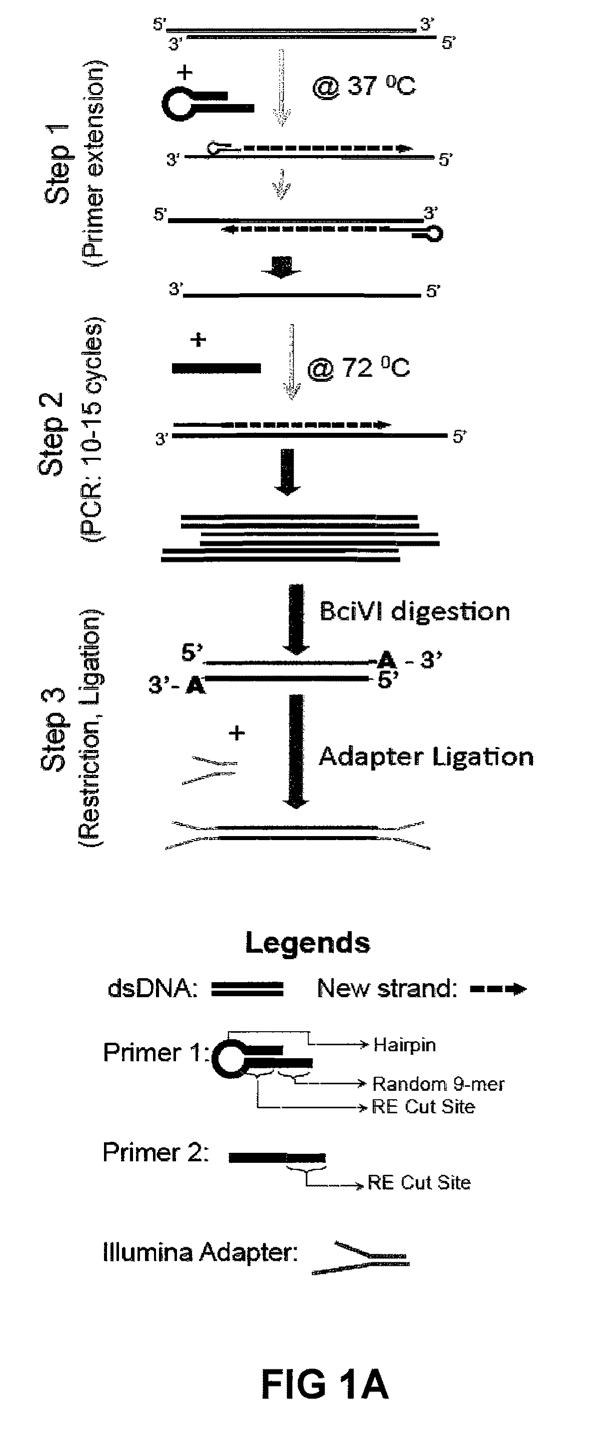 Methods For Preparing Sequencing Libraries