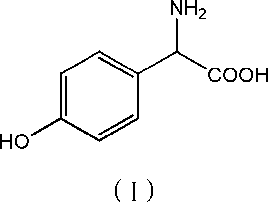 P-hydroxy phenylglycine synthesis method