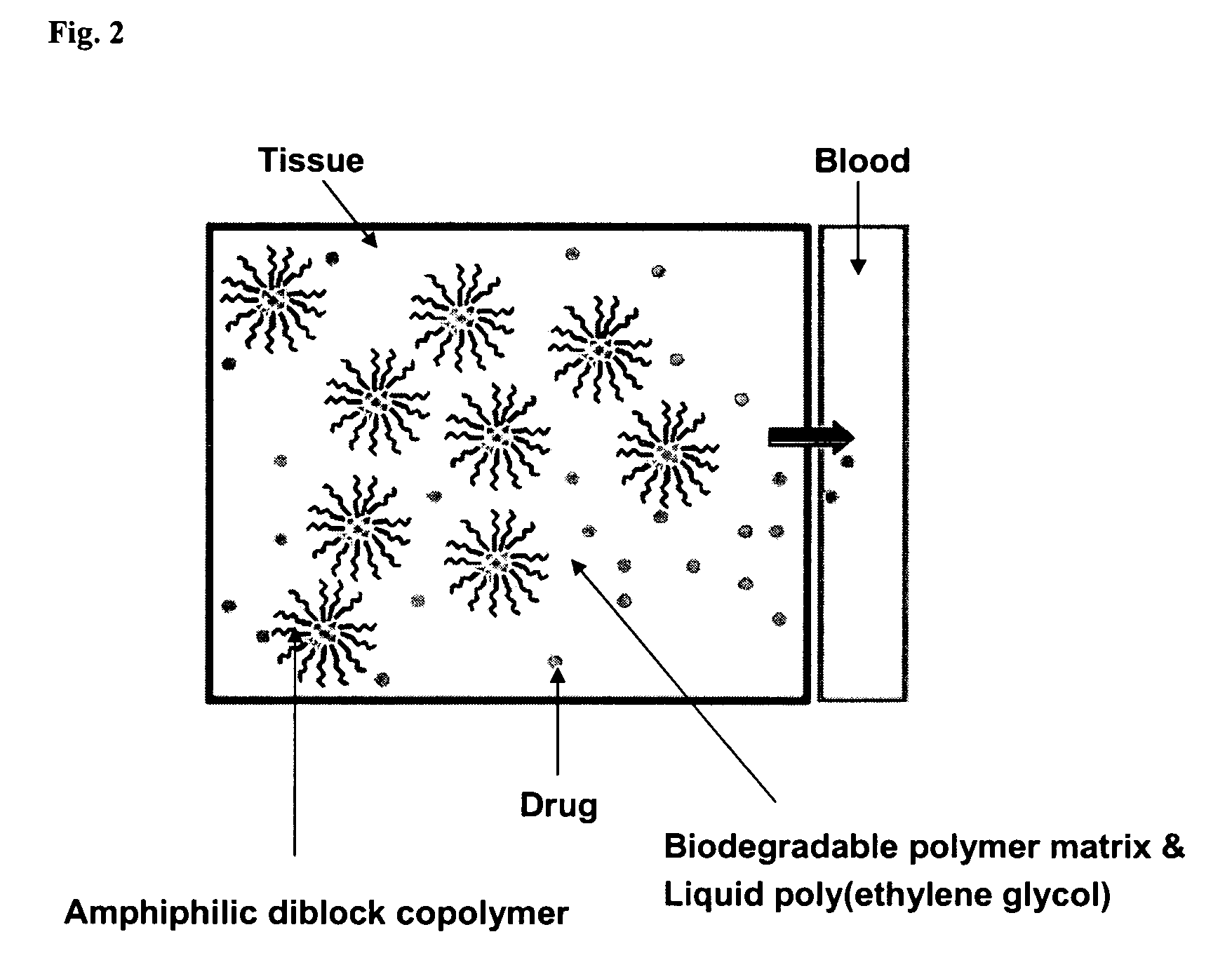 Composition for sustained delivery of hydrophobic drugs and process for the preparation thereof