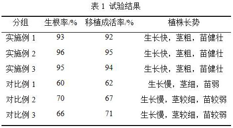 A kind of method applicable to the rooting of tissue culture seedlings of color-leaved plants