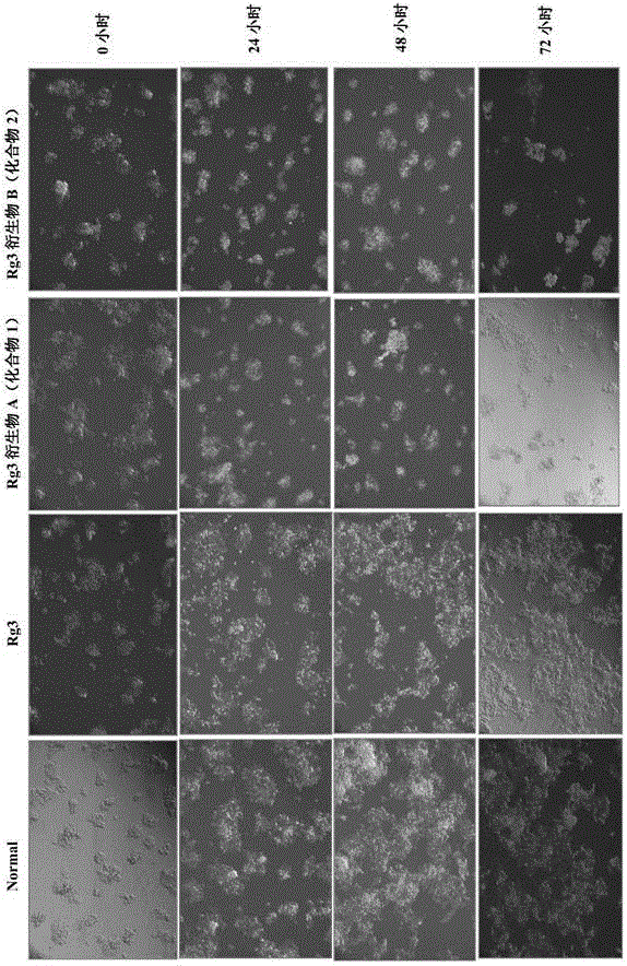 20(R)-ginsenoside Rg3 derivatives, and preparation method and application thereof