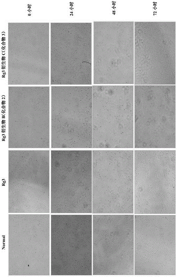 20(R)-ginsenoside Rg3 derivatives, and preparation method and application thereof