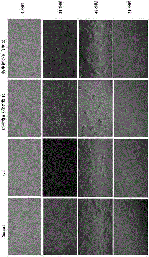 20(R)-ginsenoside Rg3 derivatives, and preparation method and application thereof