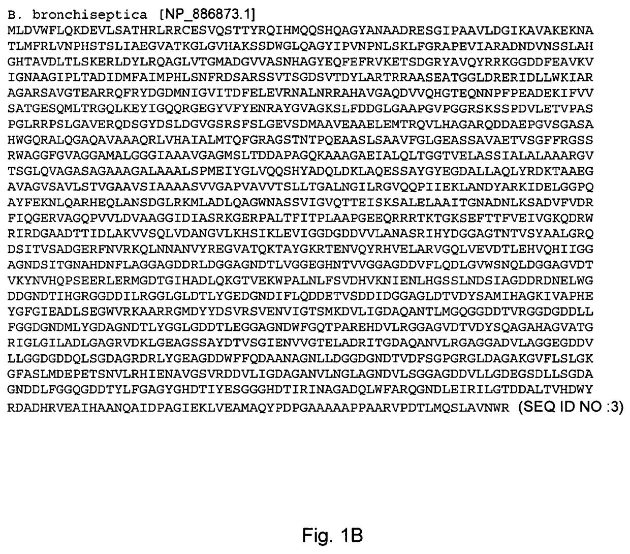 CyaA-carried polypeptide(s) and use to induce both therapeutic and prophylactic immune responses