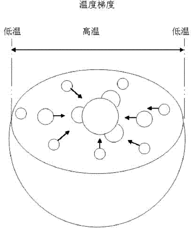 Device and method for preparing egg-type alloy welded ball