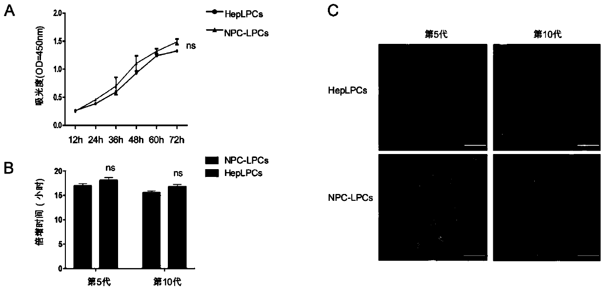 Preparation method for hepatic progenitor cells from different sources and application of hepatic progenitor cells