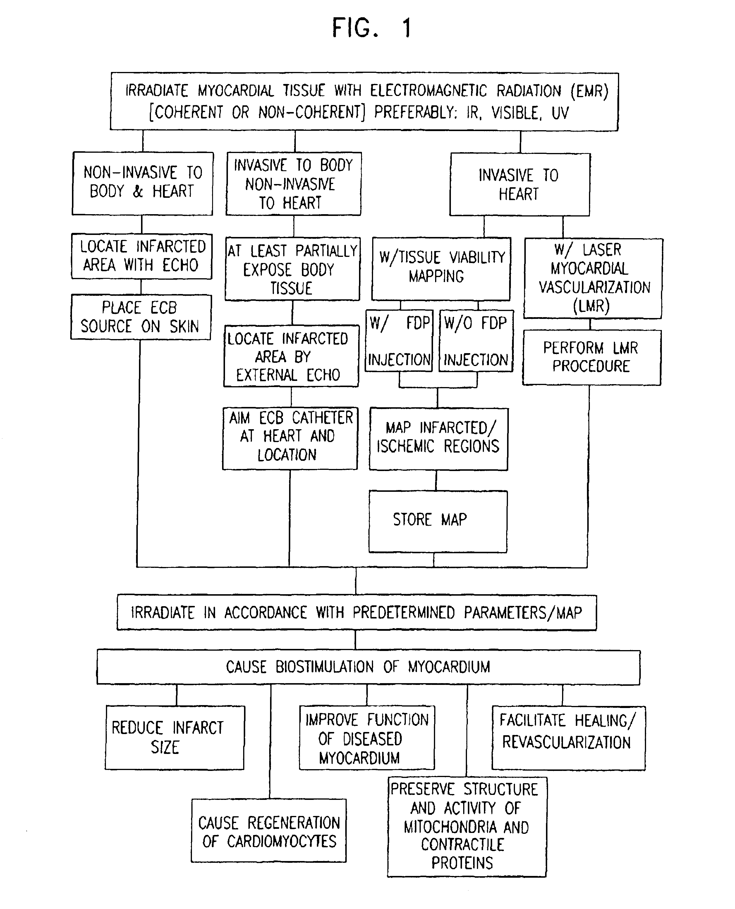 Apparatus for providing electromagnetic biostimulation of tissue using optics and echo imaging