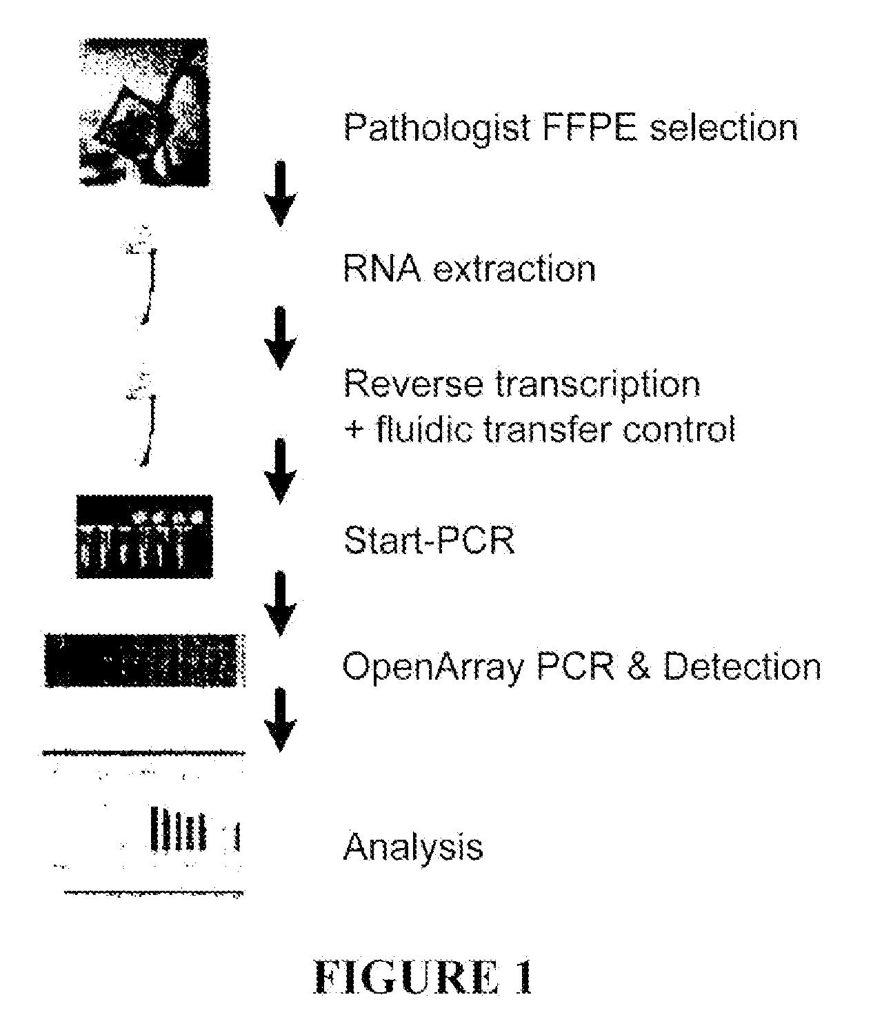 Methods and compositions for identifying biomarkers useful in characterizing biological states