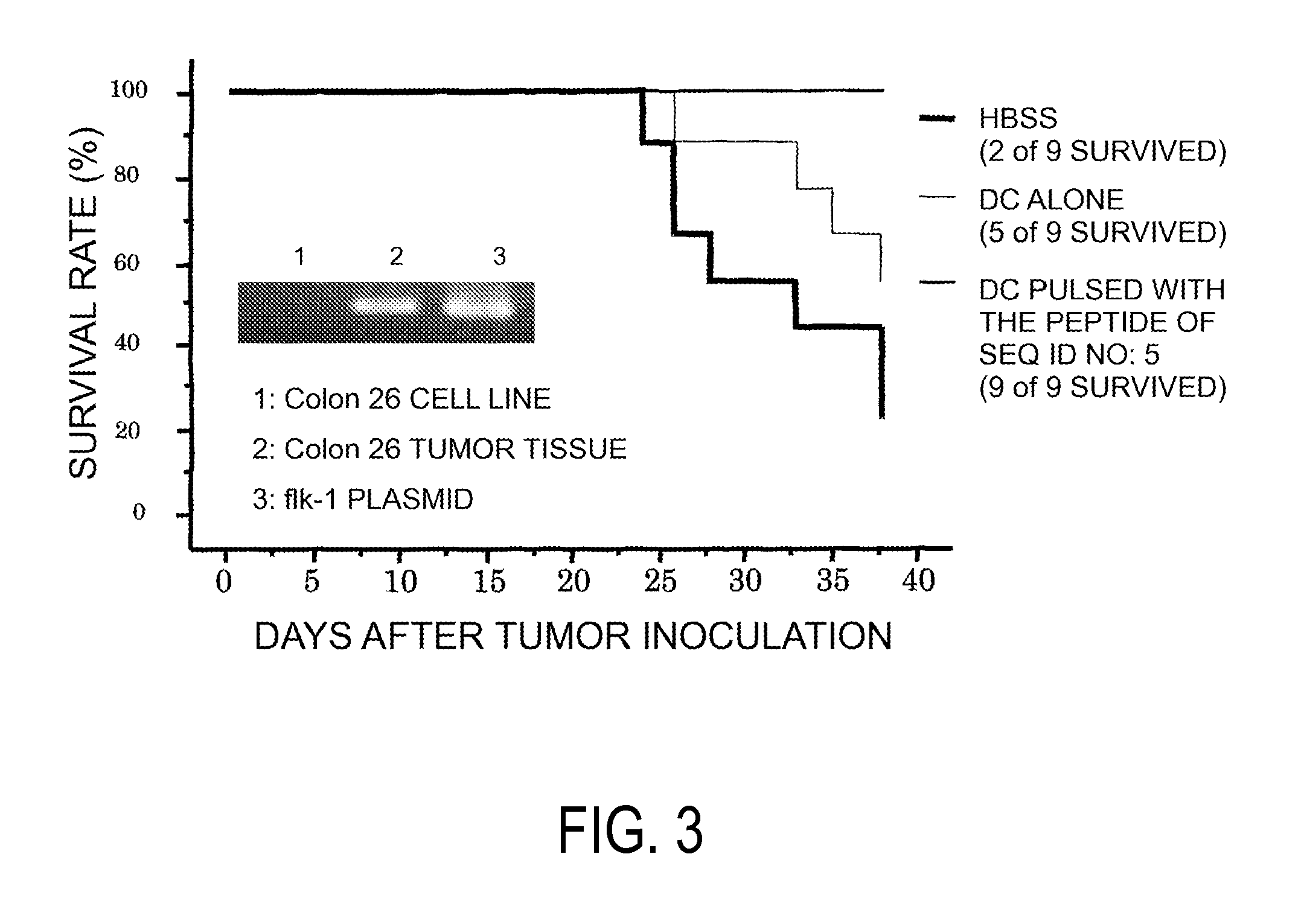 Kdr peptides and vaccines comprising the same