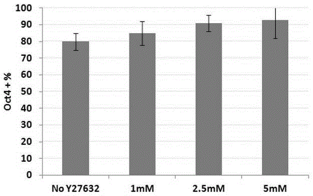 A kind of totipotent stem cell culture method