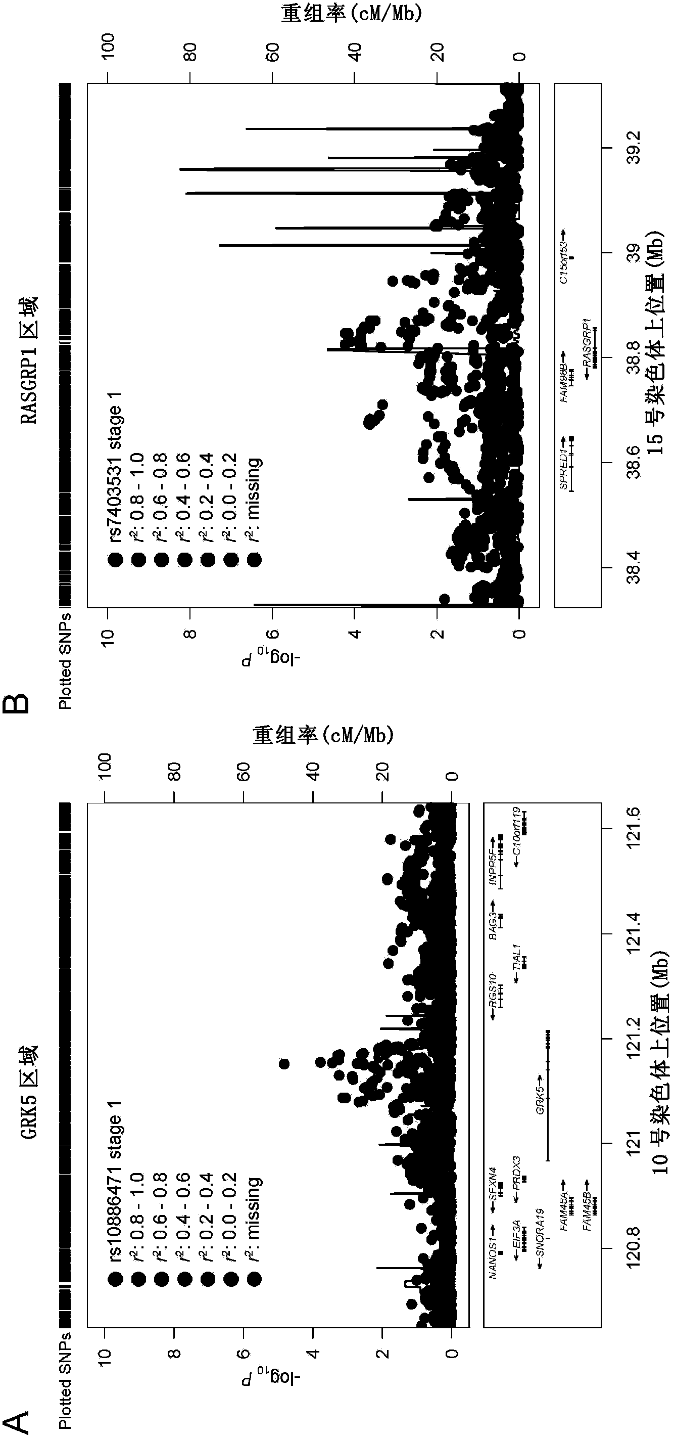 Type 2 diabetes susceptibility genetic locus as well as detection method and kit thereof