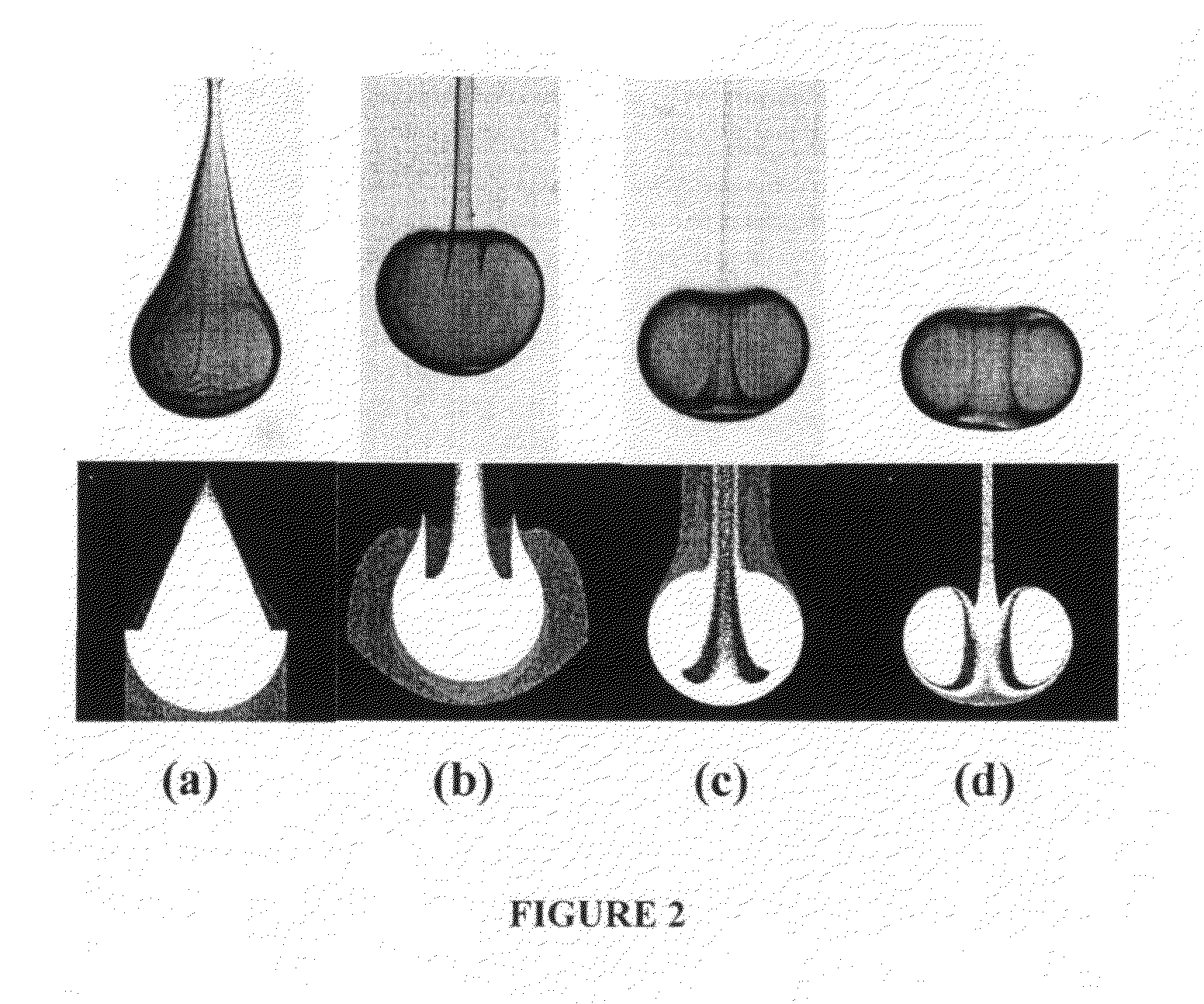 Self-Assembled Toroidal-Spiral Particles and Manufacture and Uses Thereof