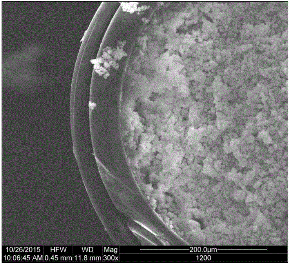 Nanogold modified polymer monolithic column, and preparation method and application thereof