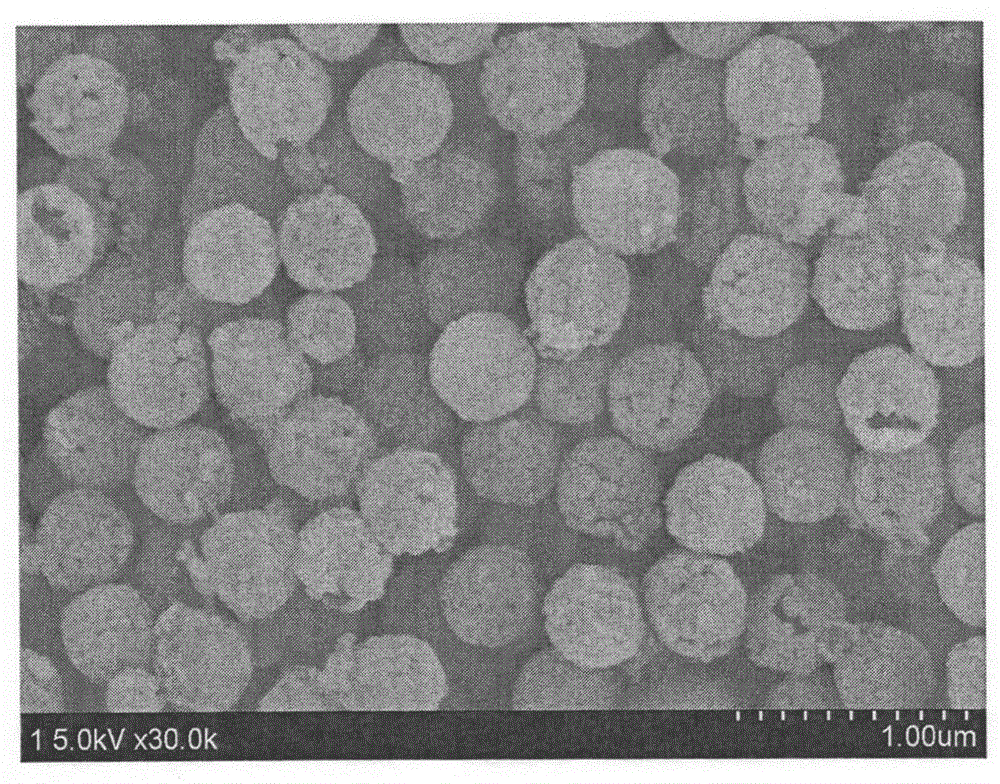 Mesoporous silica nano hollow sphere and preparation method thereof