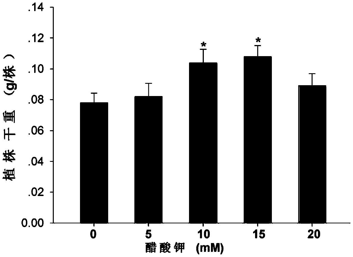 Plant drought-resistant agent and application thereof