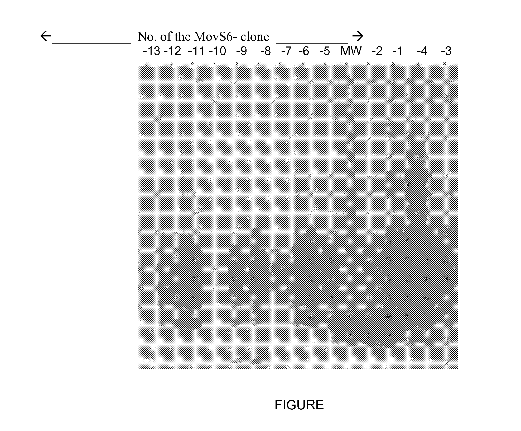 Stable clone cell expressing a prion