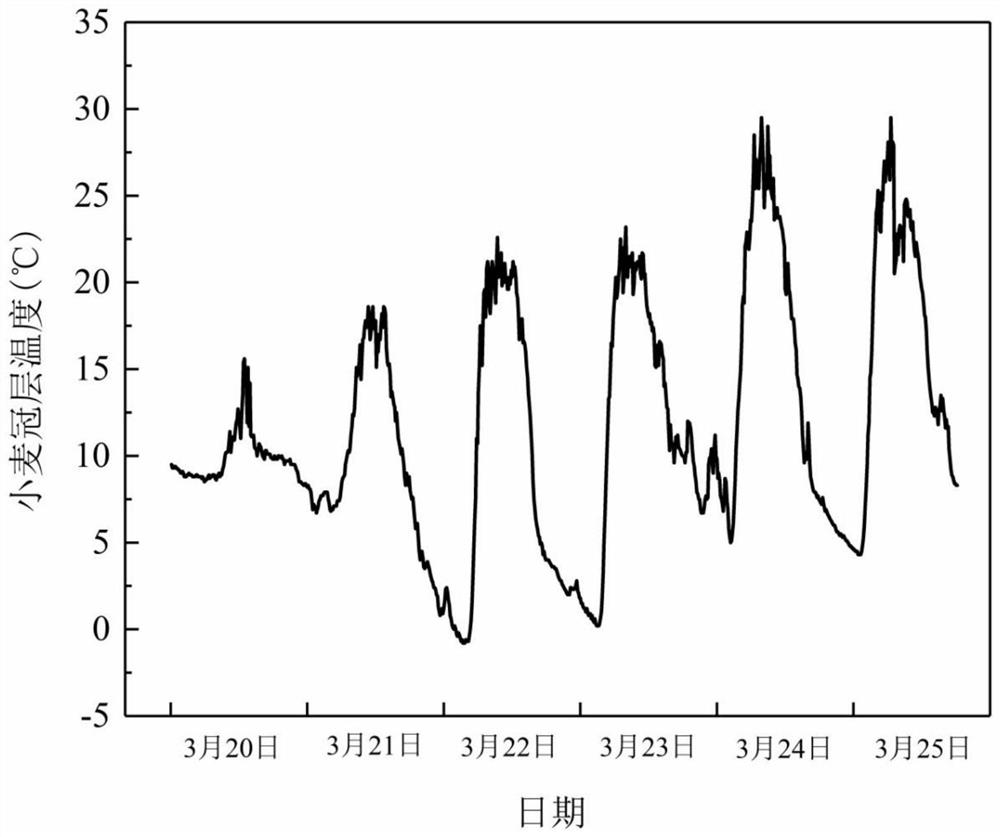 A compound agent, application method and application for improving winter cold resistance of wheat