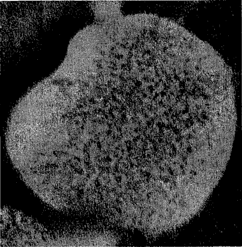 Thermoplastic resin composition, process for producing the same and molding