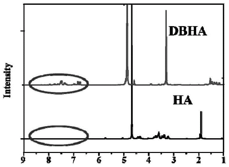 Diiodostyrene type boron fluoride dipyrrole-hyaluronic acid and its preparation method and application