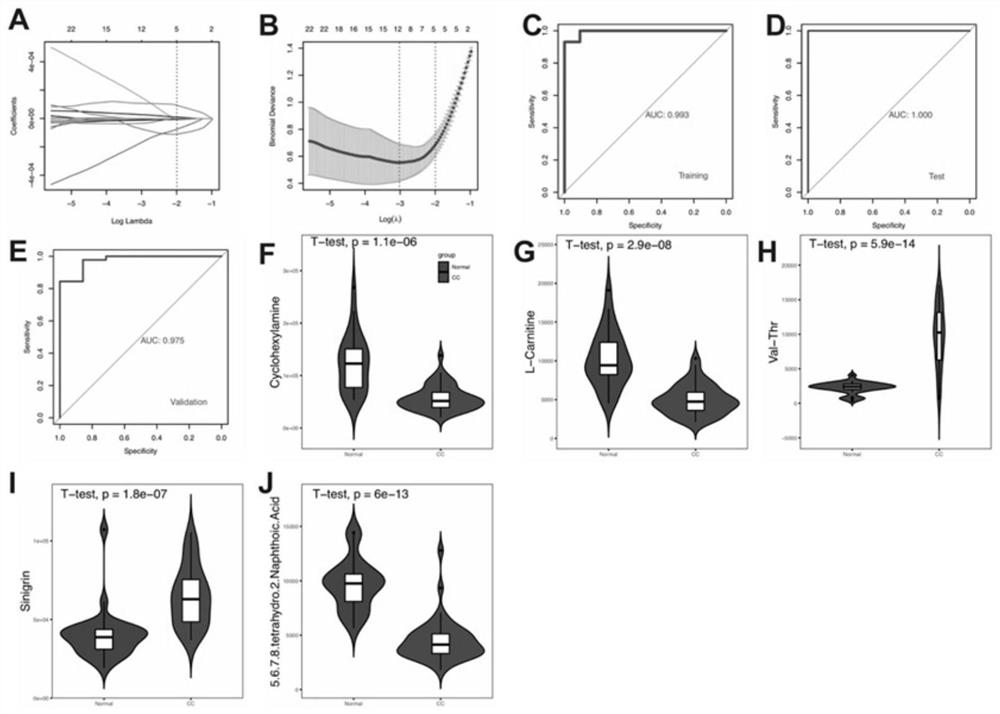 Screening method of blood plasma molecular markers for diagnosing cervical cancer based on metabonomics