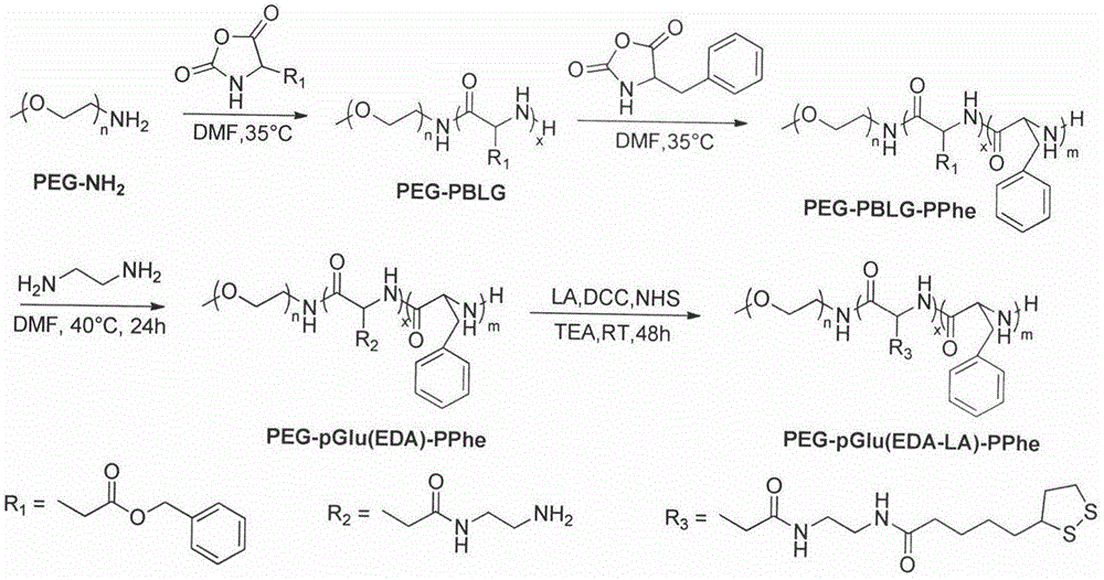 Preparation method and use of thioctic acid-modified polyethylene glycol-polyaminoacid block copolymer