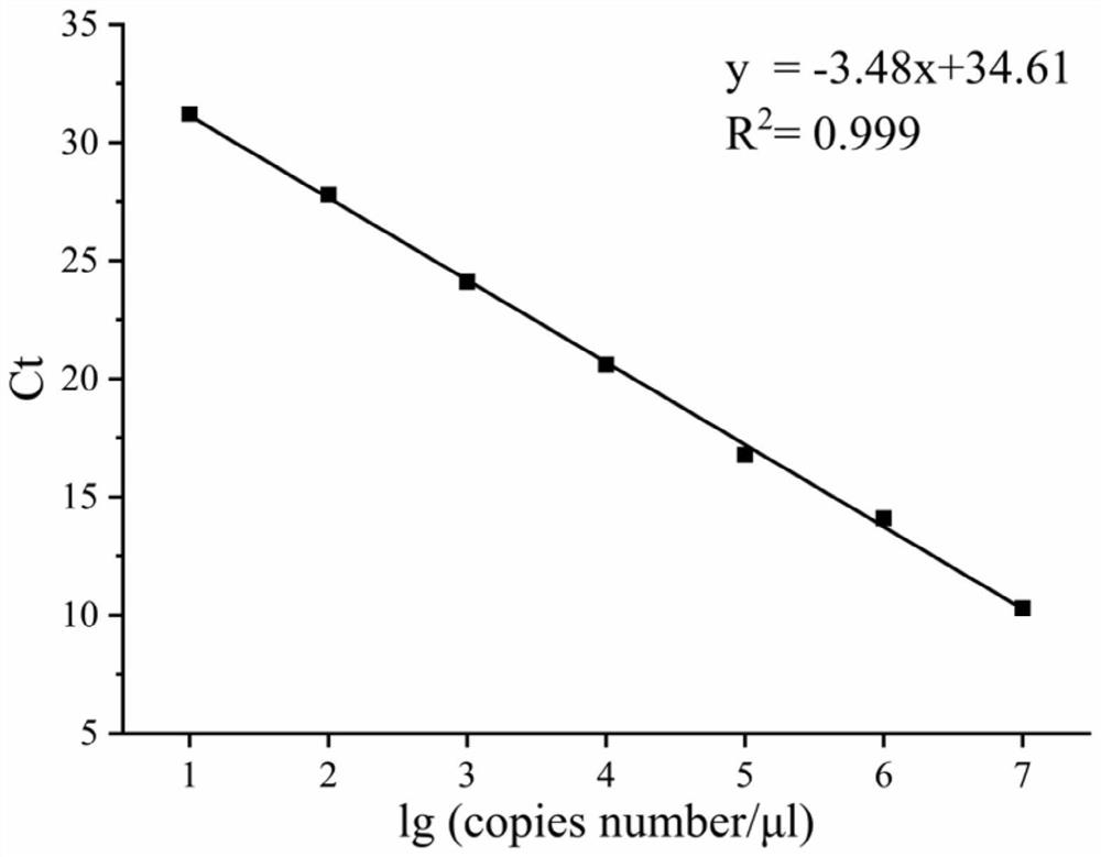 Molecular marker for quantifying lactobacillus acidophilus and method for absolutely quantifying bacterial community composition in yellow wine fermentation process