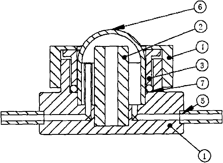 Gas-solid phase in-situ Raman reaction tank