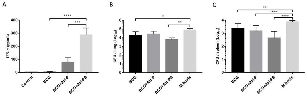 Application of bovine beta defensin 5 as novel mucosal immunologic adjuvant
