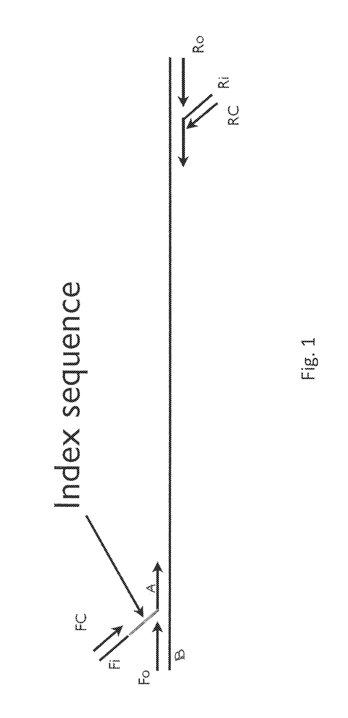 Multiplex pyrosequencing using non-interfering noise cancelling polynucleotide identification tags