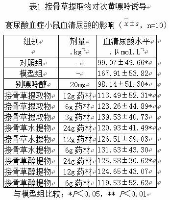 Sambucus chinensis herb extract for treating gout and preparation method thereof
