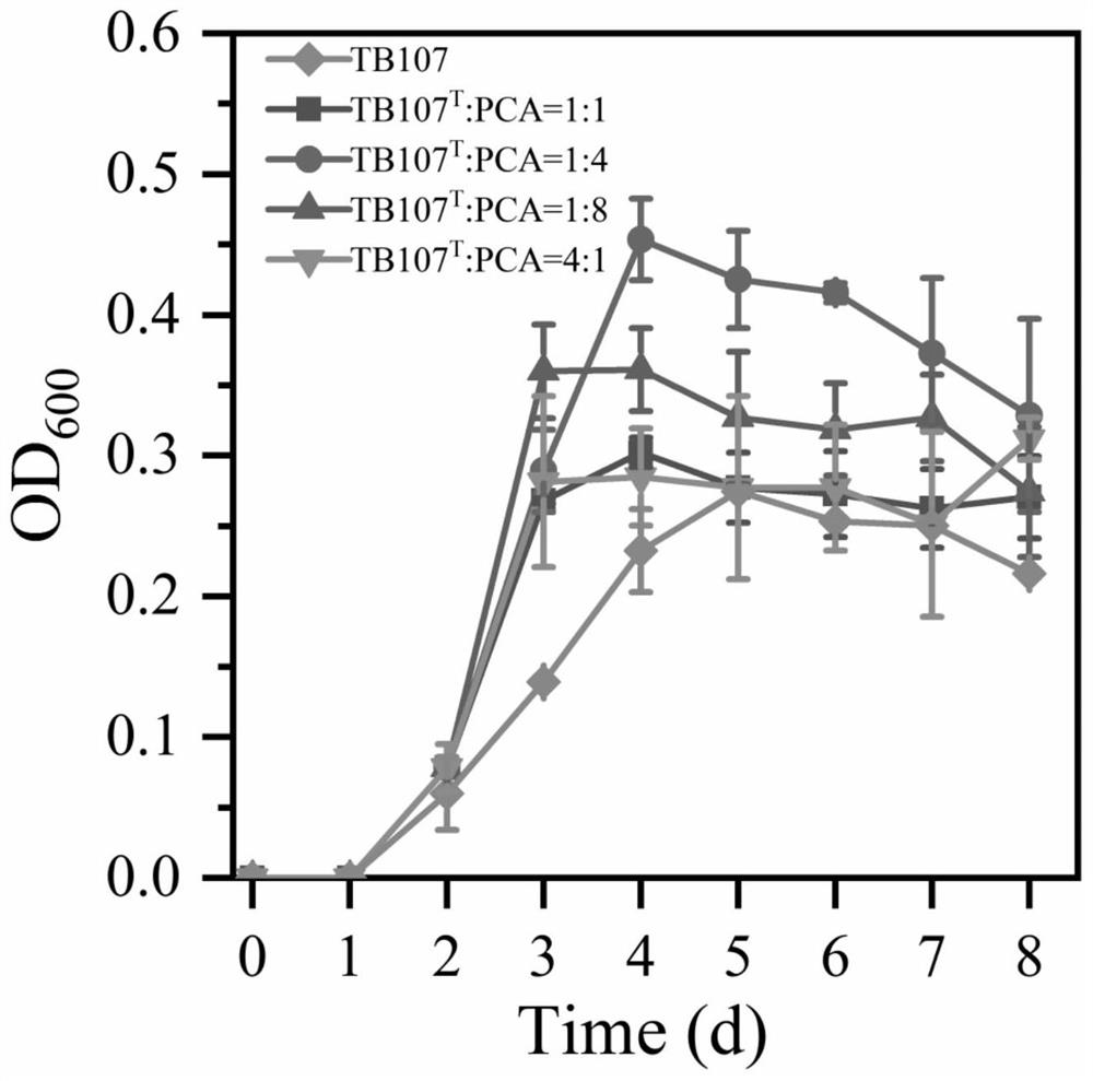 Method for degrading protein by co-culture of proteiniphilum acetatigenes and geobacter sulfurreducens