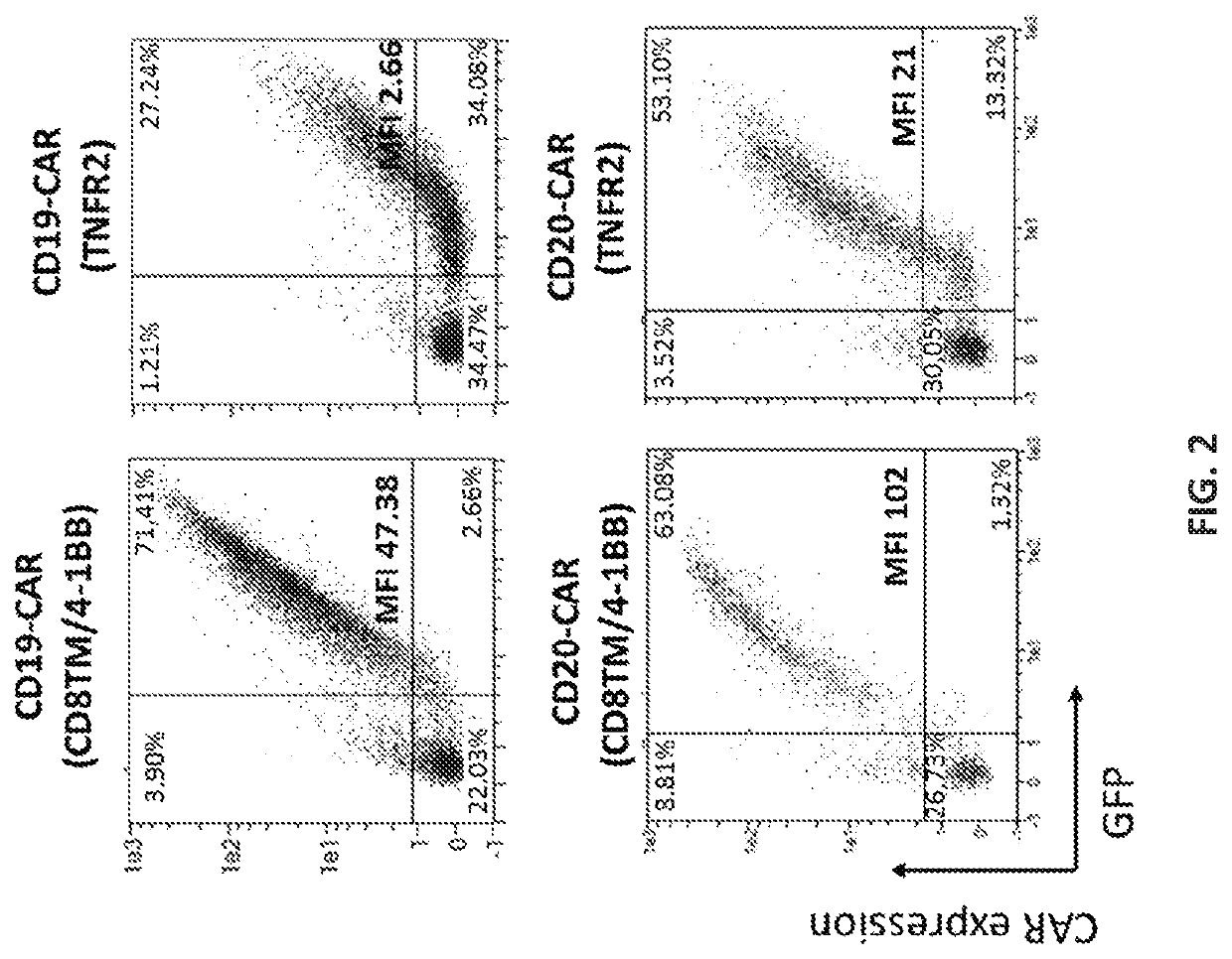 New car constructs comprising tnfr2 domains