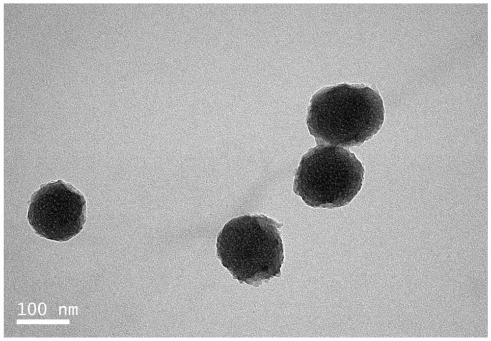 Probes based on mesoporous carbon nanospheres doped with gold nanoparticles and their preparation