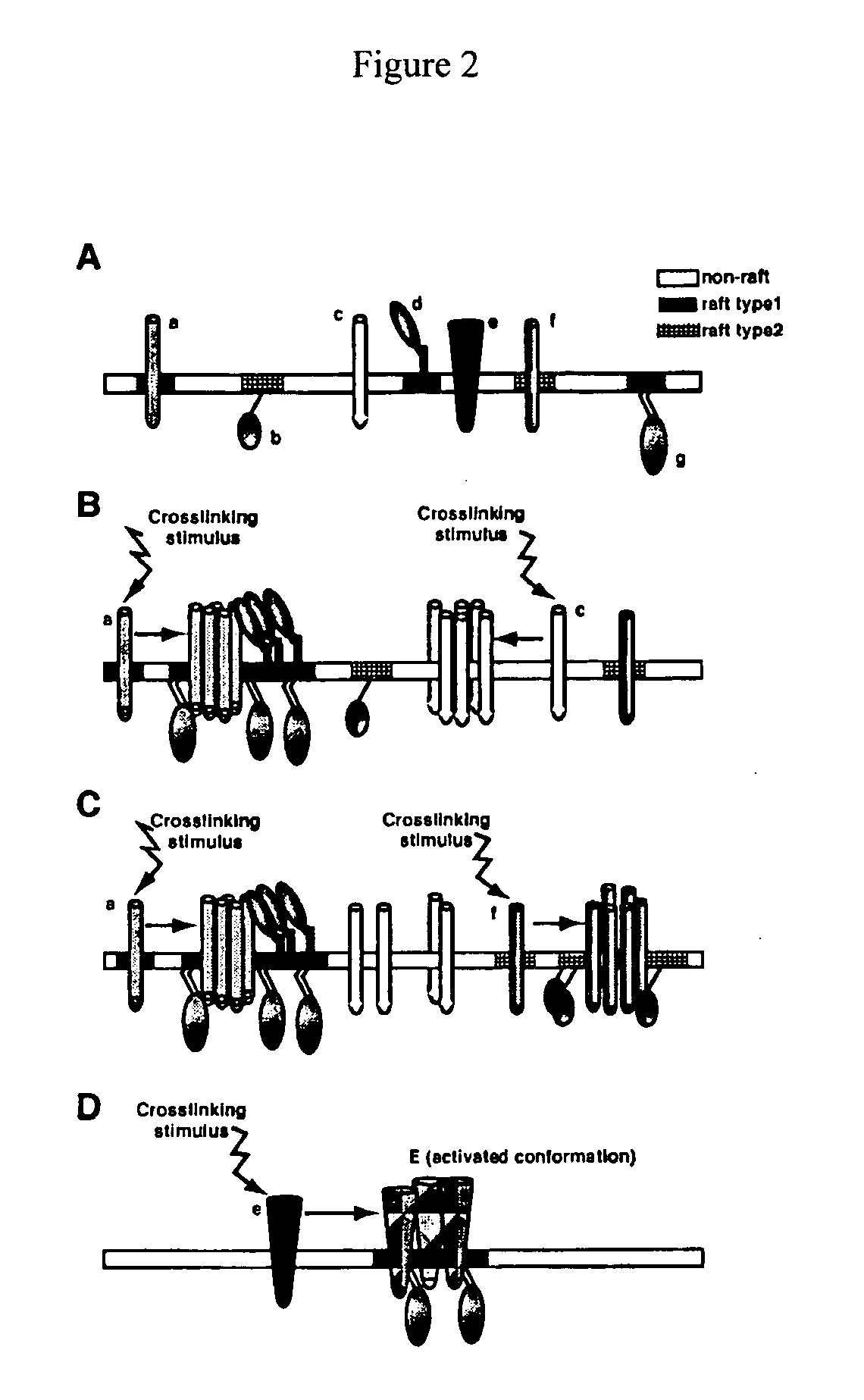 Prevention of hiv-1 infection by inhibition of rho-mediated reorganization and/or content alteration of cell membrane raft