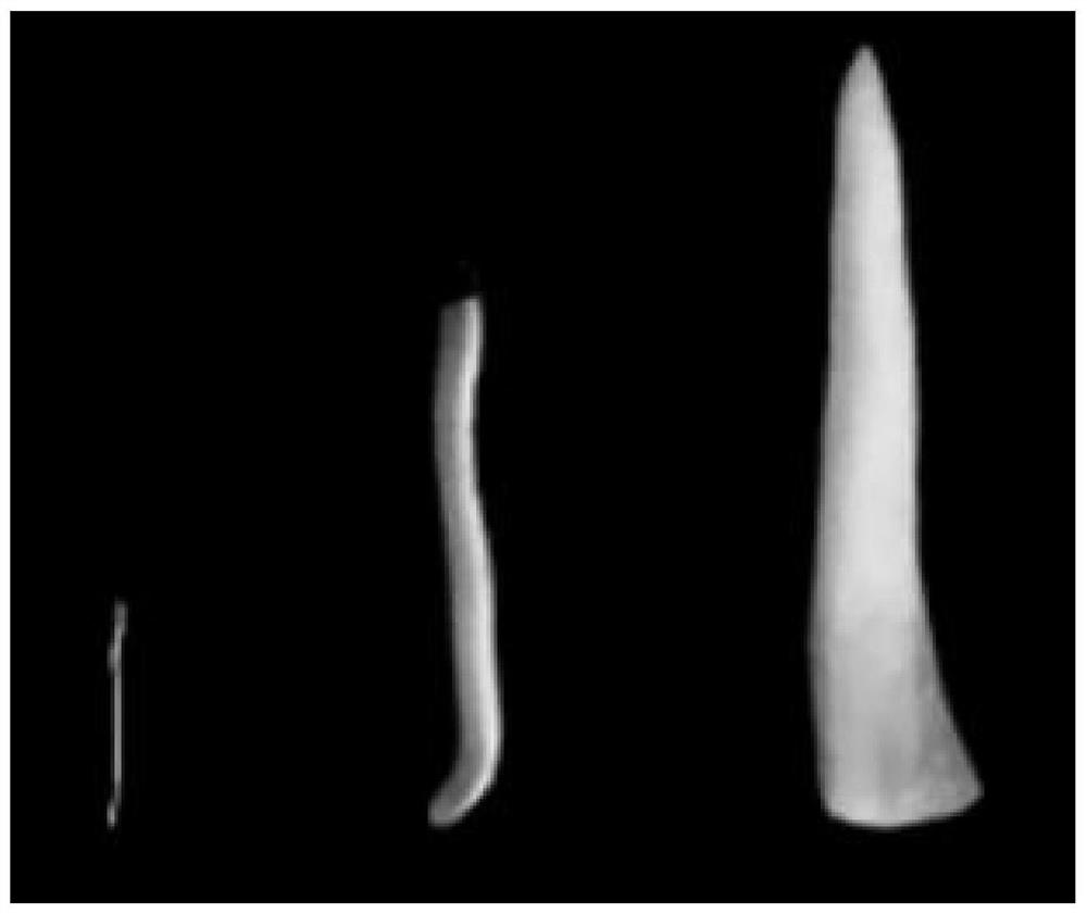 Chromosome and karyotype analysis method taking pitaya stem tip as material