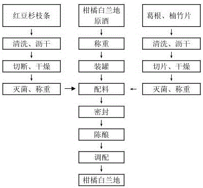 Aging method capable of debitterizing and dearomatizing orange brandy