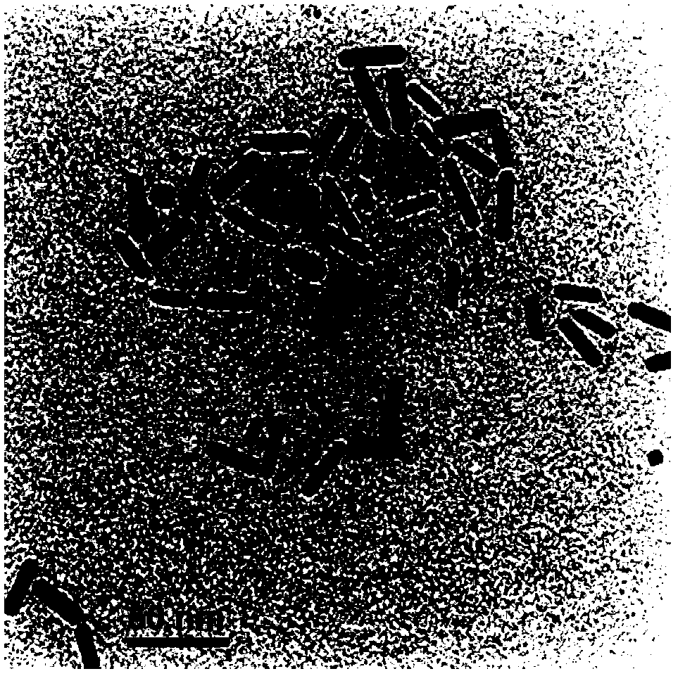 A kind of nanoparticle and polymercapto copolymer complex and preparation method thereof