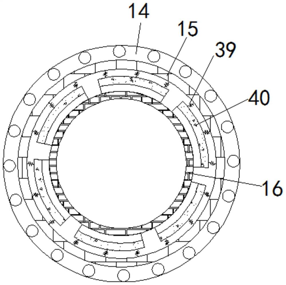 A detection device and application of a variety of basic drugs of abuse in degraded biological samples