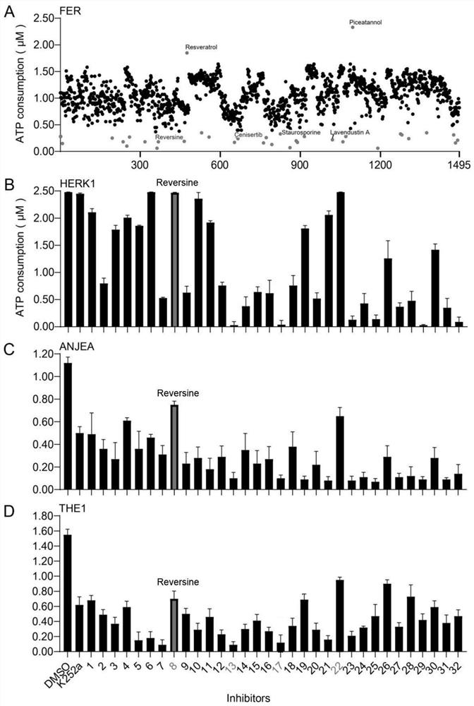 Application of kinase inhibitor Reversine in improving bacterial wilt resistance of plants