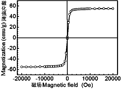 Asymmetric magnetic mesoporous silica rod supporting chemotherapeutic and gene drugs and application thereof to tumor diagnosis and treatment