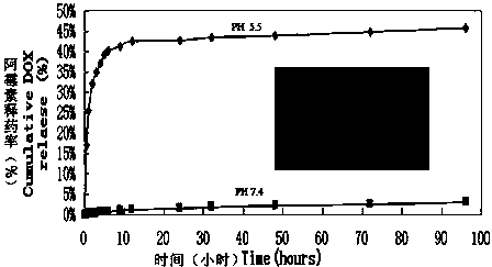 Asymmetric magnetic mesoporous silica rod supporting chemotherapeutic and gene drugs and application thereof to tumor diagnosis and treatment
