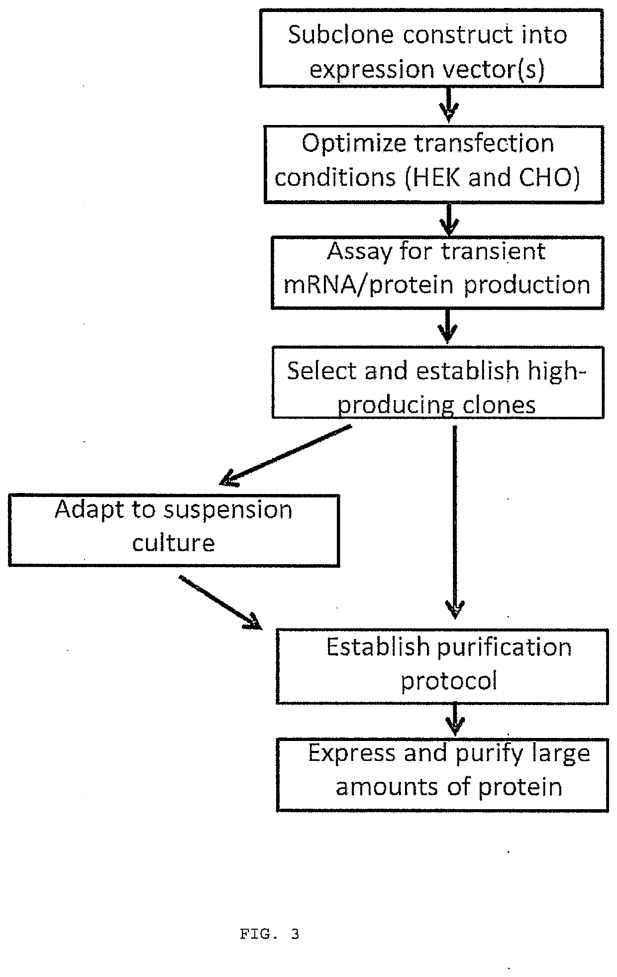 Therapeutic variant alpha-2-macroglobulin compositions