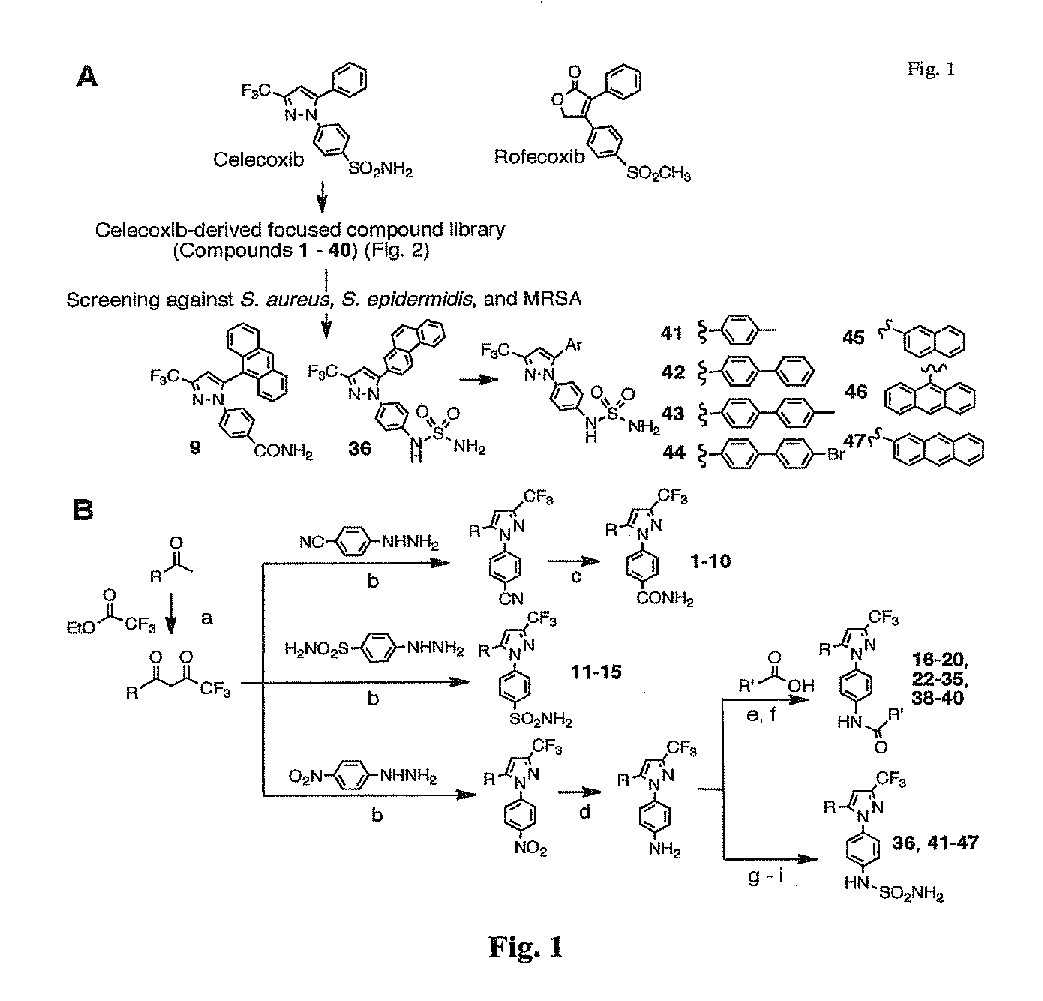 Anti-staphylococcal celecoxib derivatives