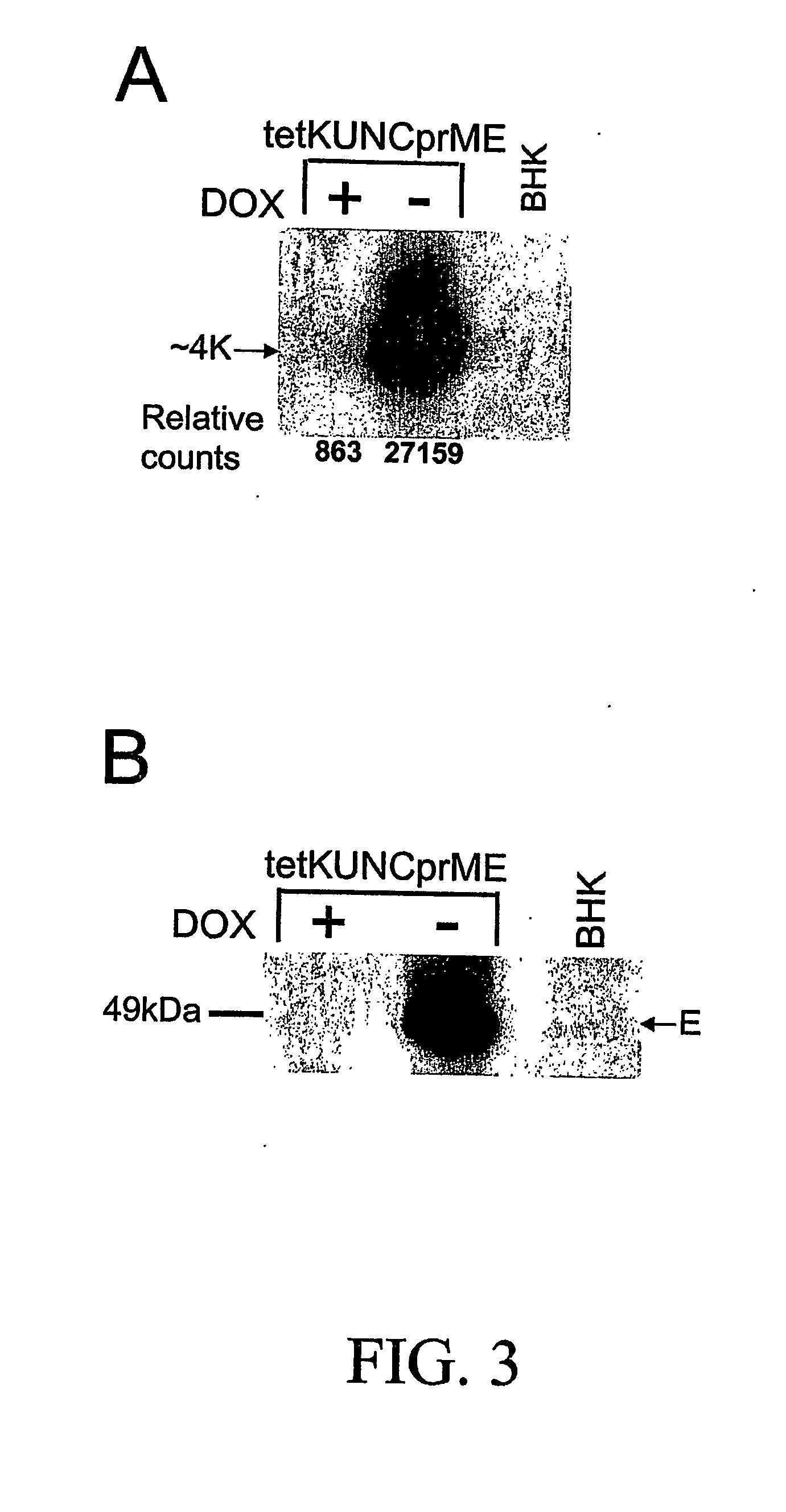 Flavivirus vaccine delivery system