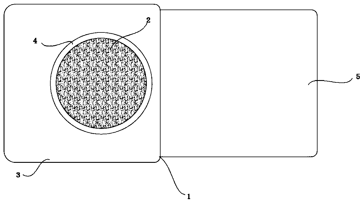Dog-day patch with slow release function and preparation method of dog-day patch