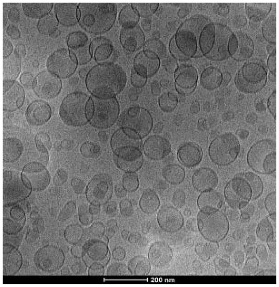 Ionizable lipid molecule, preparation method thereof and application of ionizable lipid molecule in preparation of lipid nanoparticles