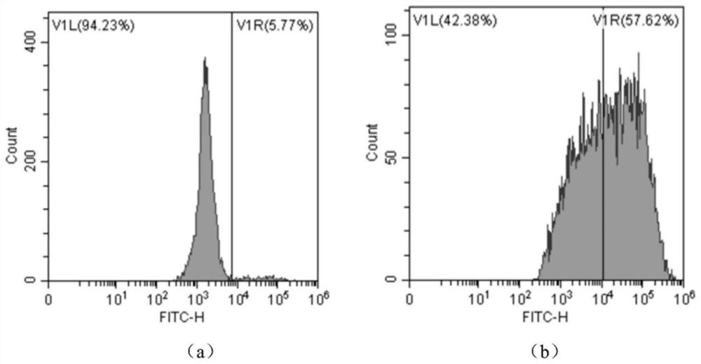 Ionizable lipid molecule, preparation method thereof and application of ionizable lipid molecule in preparation of lipid nanoparticles