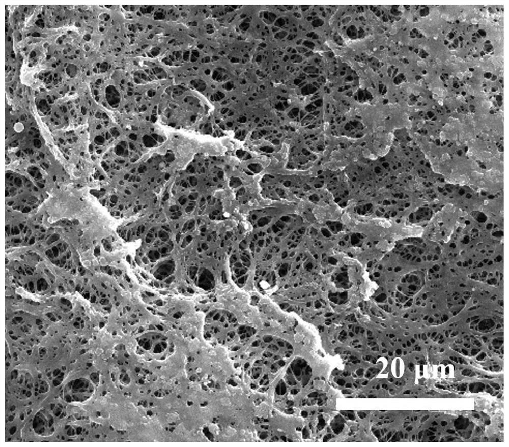 Nitrogen and sulfur co-doped carbon fiber grafted polythiophene/MnS composite material and preparation method of electrode thereof